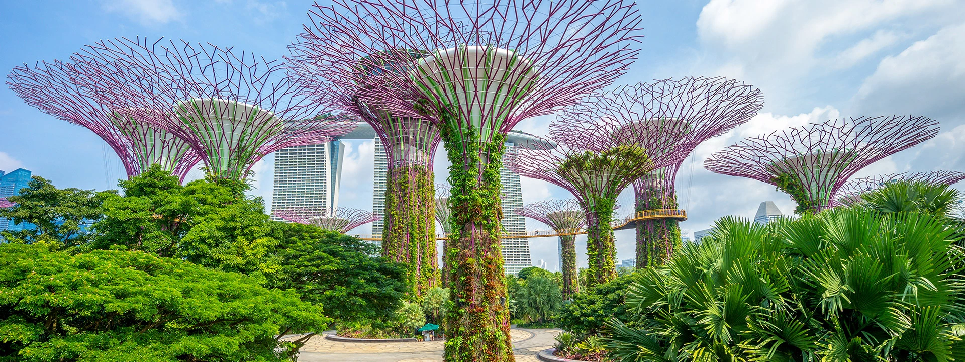 Gardens By The Bay excursion during your Singapore cruise in the Far East