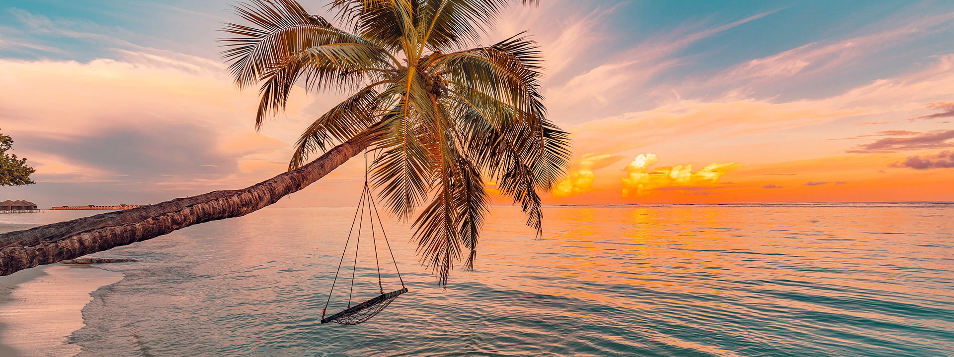 palm trees and beaches at sunset during a Caribbean cruise