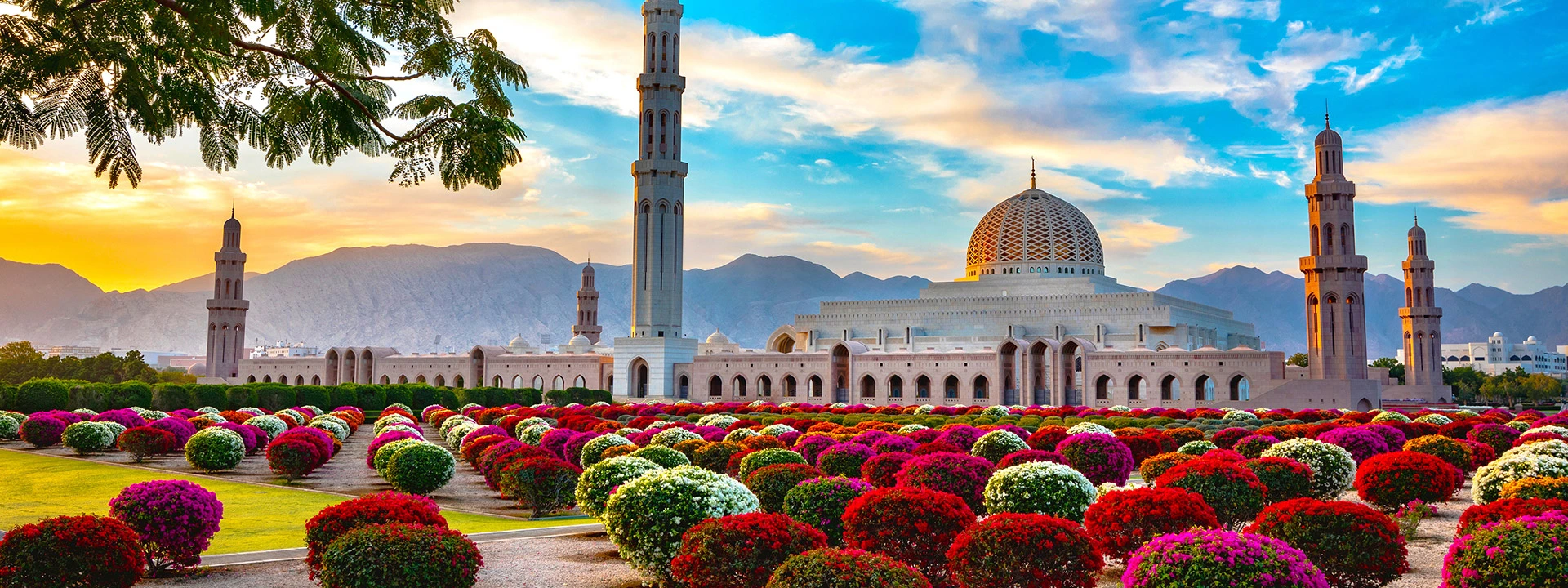 colourful gardens outside the grand mosque of Oman UAE