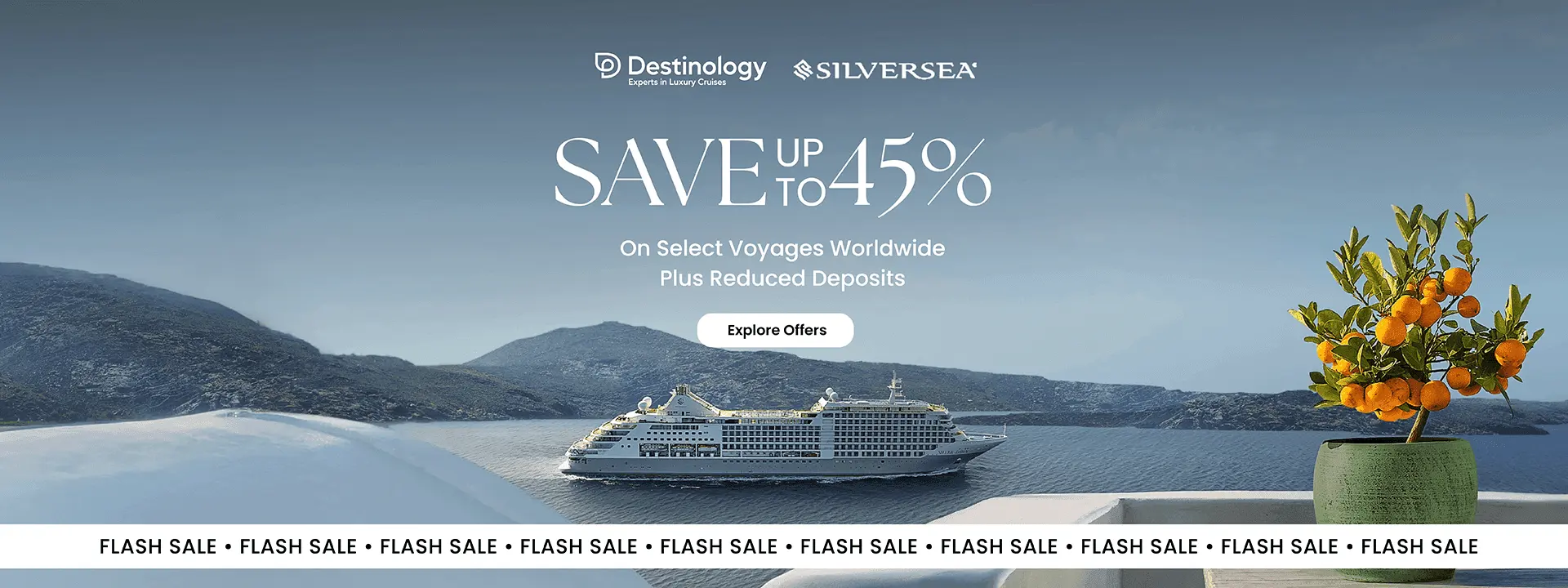 Cruise offers